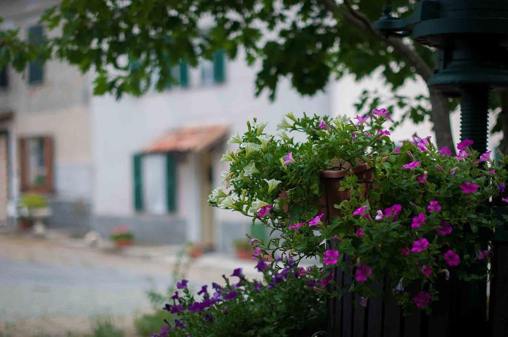 B&B Cascina Santa Gavi Exterior foto